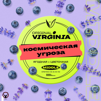 Original Virginia Middle Космическая угроза 25гр МРК
