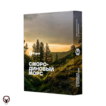 САРМА с ароматом Смородиновый морс, 25 гр.