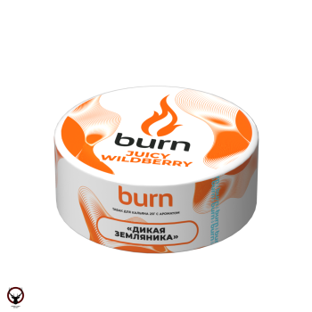 Burn с ароматом дикая земляника (Juicy wildberry), 25гр.