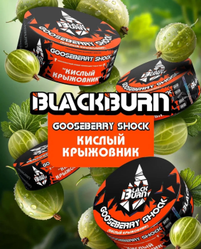 BlackBurn Кислый крыжовник (Gooseberry Shock), 25гр.