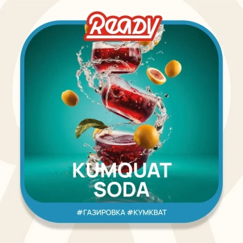 Ready с ароматом Газировка, Кумкват (Kumquat Soda), 25гр.