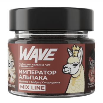 Табак Wave - Малина Арбуз Смородина 40 гр.