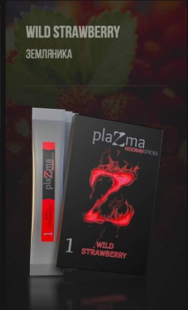 Plazma Hookah Sticks Mango Ginger 42 гр.