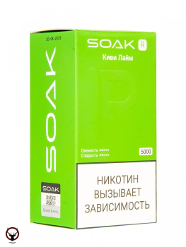 SOAK R Киви лайм 5000 затяжек МРК