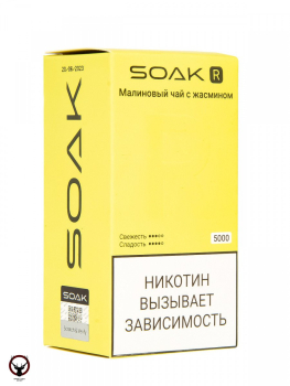 SOAK R Малиновый чай с жасмином 5000 затяжек МРК