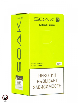 SOAK R Мякоть киви 5000 затяжек МРК