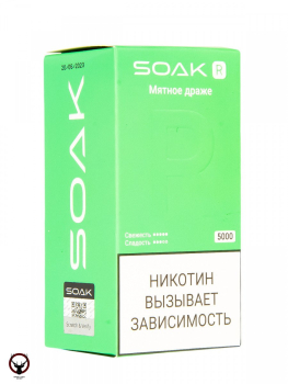 SOAK R Мятное драже 5000 затяжек МРК