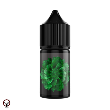 Жидкость SOAK L30 Cane Mint 30 мл 2 мг МРК