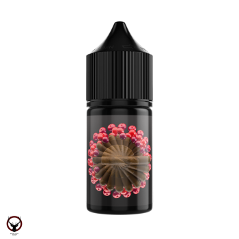 Жидкость SOAK L30 Cherry Cigar 30 мл 2 мг МРК