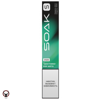 SOAK S Cane Mint 3500 затяжек МРК