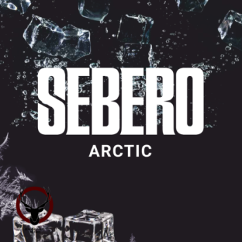 SEBERO Classic с ароматом Арктик (Arctic) , 200 гр.