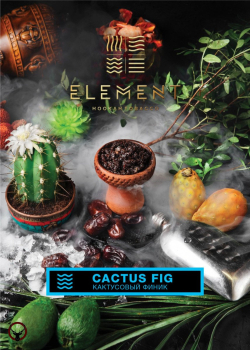 Element ВОДА Cactus fig 25гр МРК