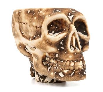 Чашка Werkbund WSE-Scull